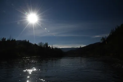 DSC_0278 (Large).JPG